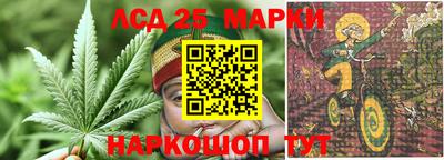 прущие грибы Пушкино