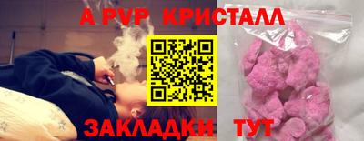 прущие грибы Пушкино
