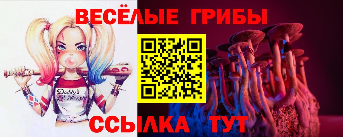 Псилоцибиновые грибы Cubensis  Вход с VPN  Липецк 